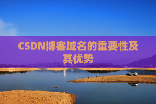 CSDN博客域名的重要性及其优势